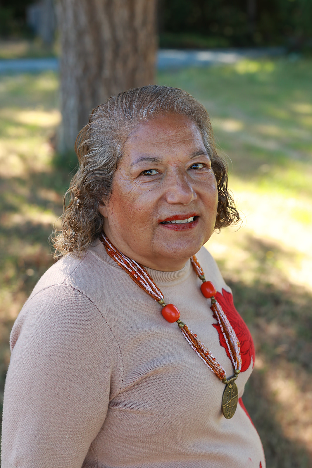 Dr. Samia Harris, President · Board of Directors